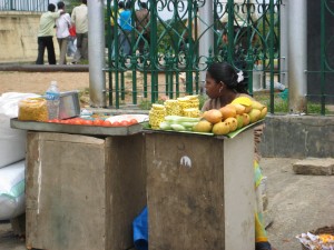 Lalbagh Gardens